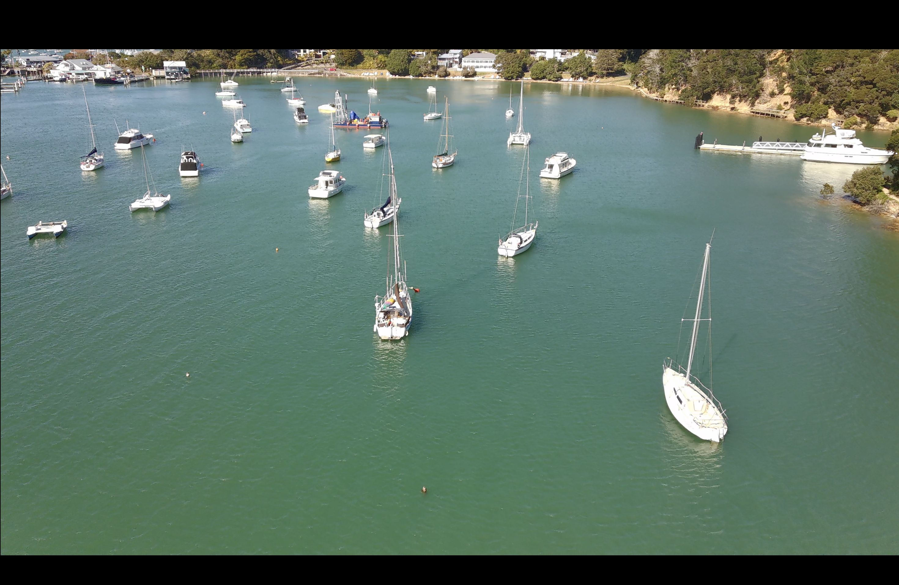Visitor Swing Mooring in Opua