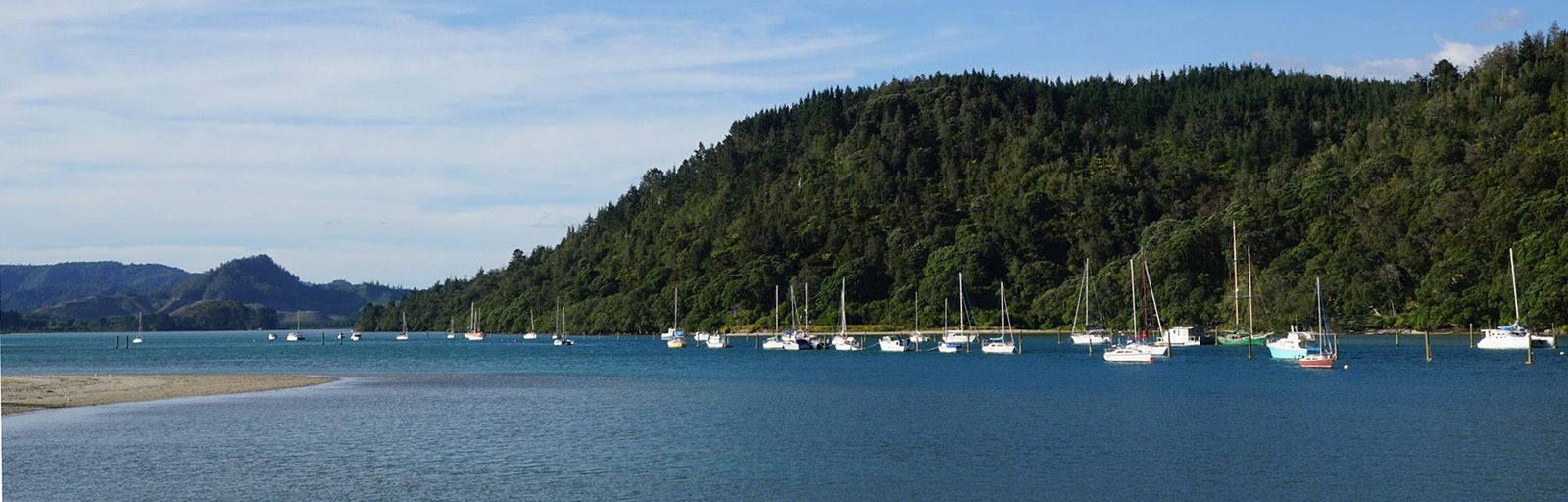 Whangamata Swing mooring