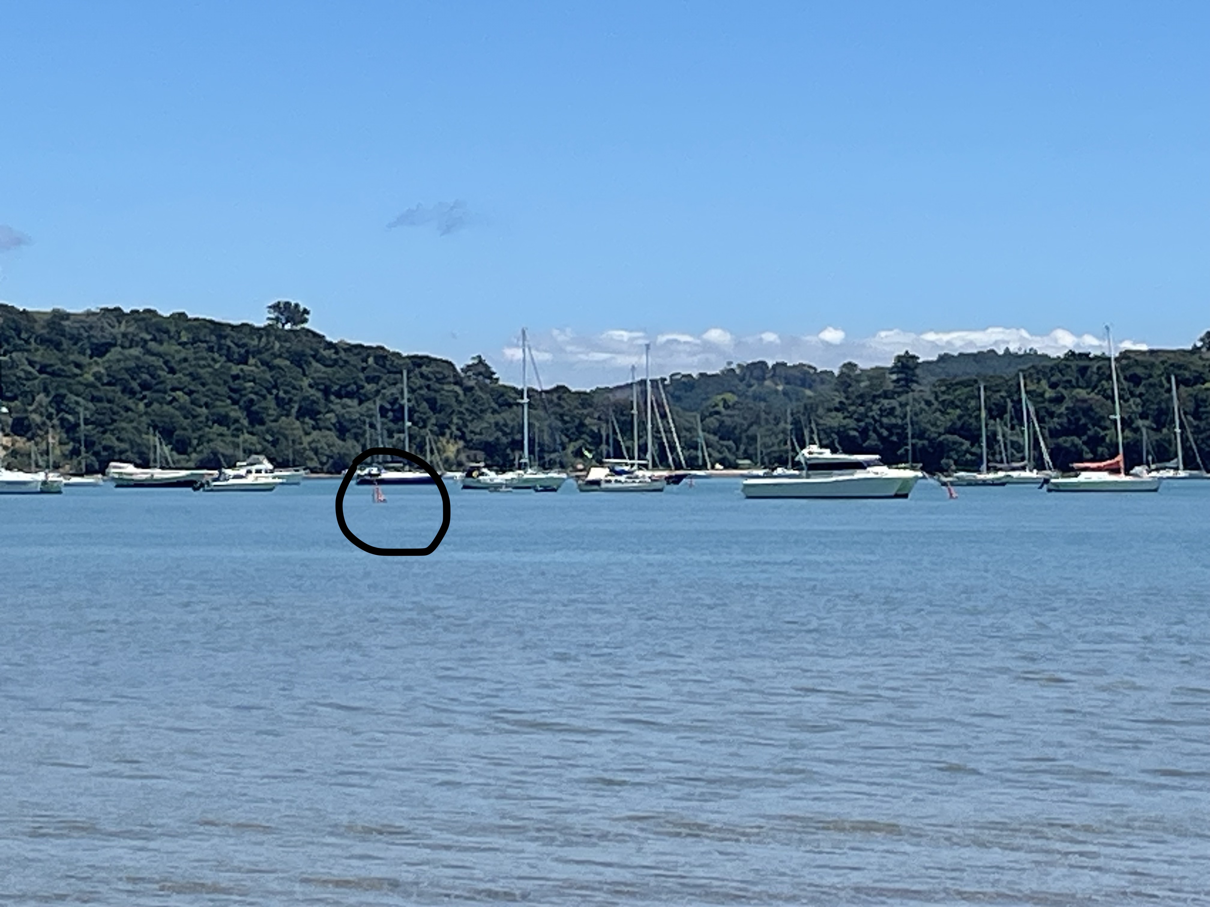 Waiheke -Putiki Bay