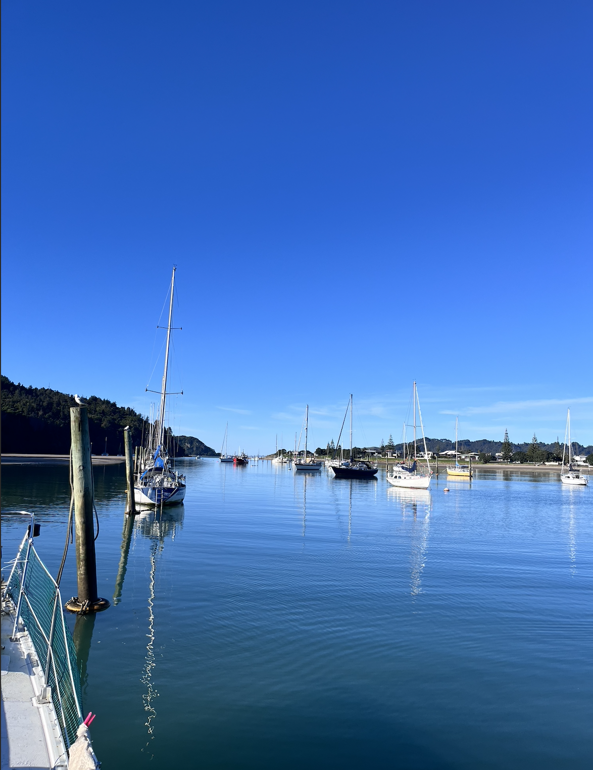 Whangamata Pole Mooring